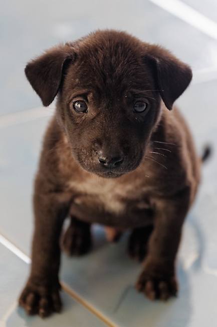 Famille et amis-MAI17-013